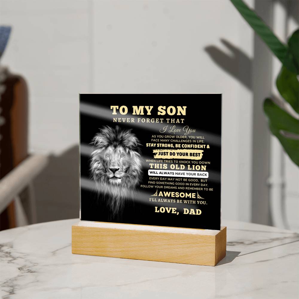 To My Son, I Love You Acrylic Plaque with LED NIGHT