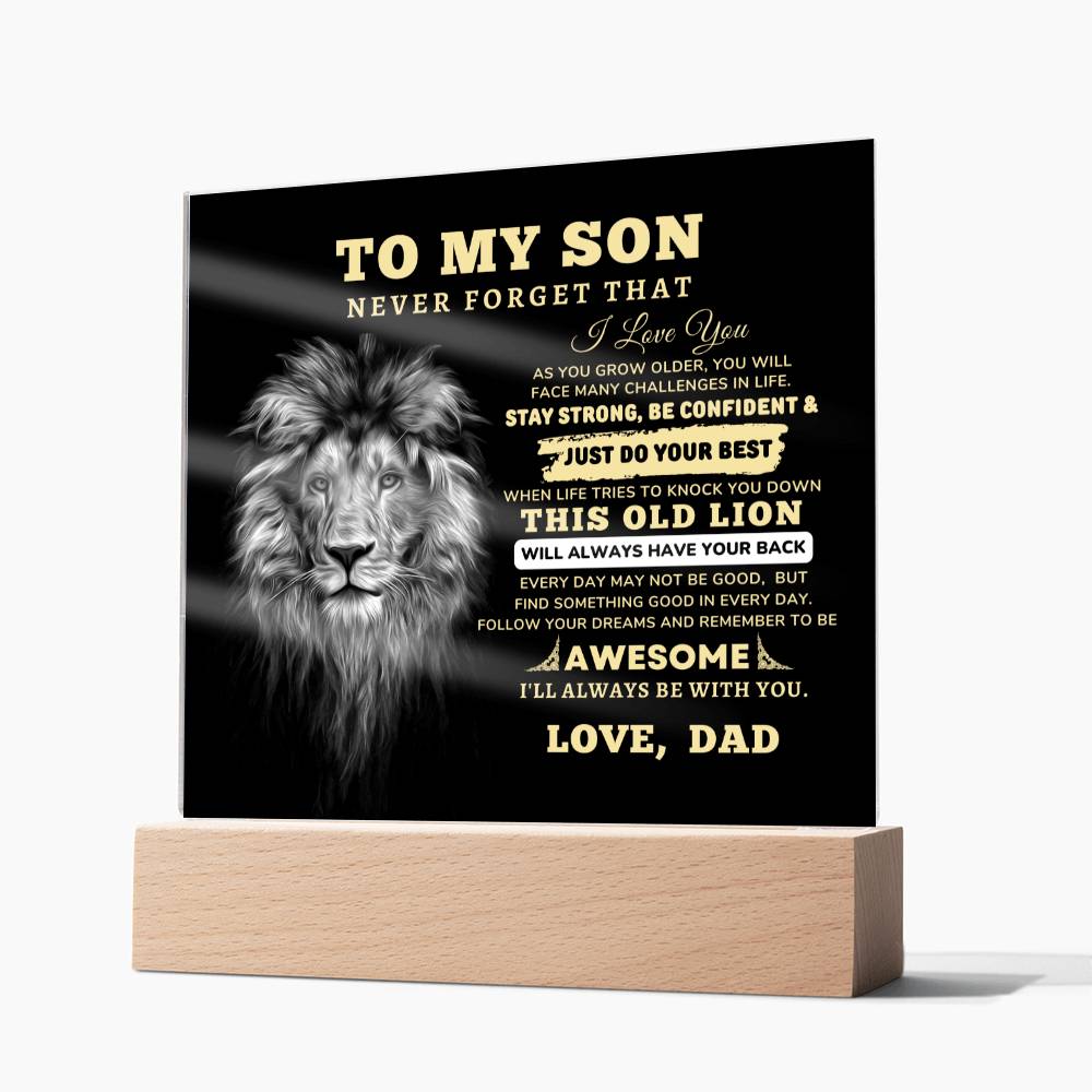 To My Son, I Love You Acrylic Plaque with LED NIGHT
