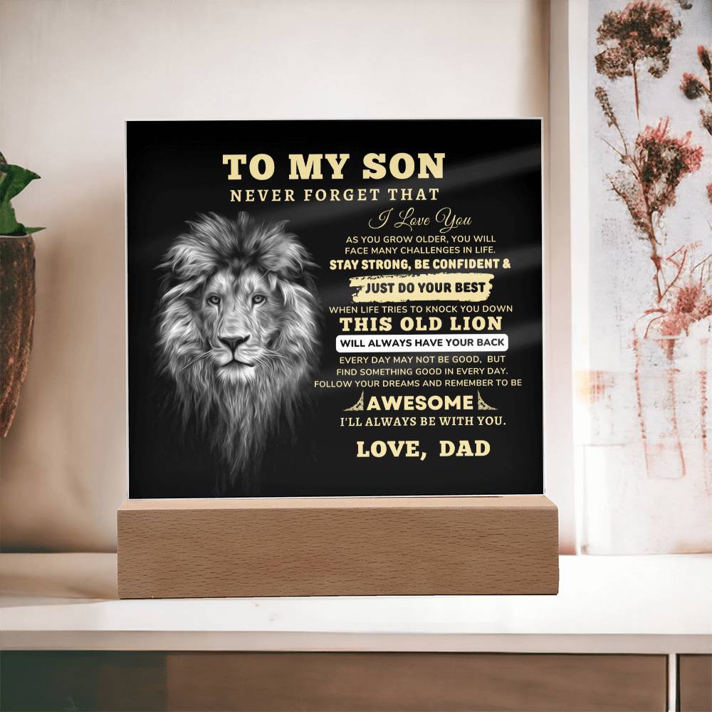 To My Son, I Love You Acrylic Plaque with LED NIGHT