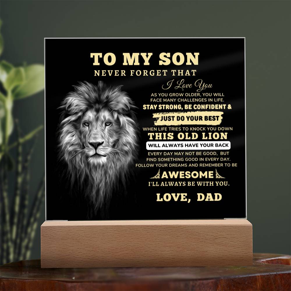 To My Son, I Love You Acrylic Plaque with LED NIGHT