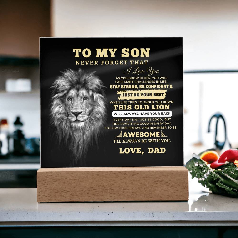 To My Son, I Love You Acrylic Plaque with LED NIGHT