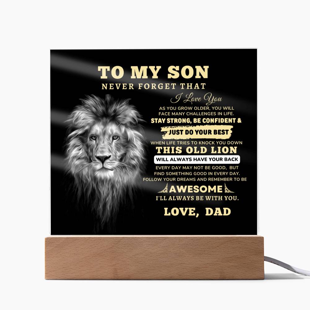 To My Son, I Love You Acrylic Plaque with LED NIGHT