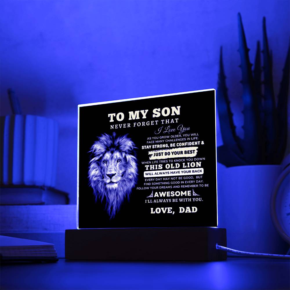 To My Son, I Love You Acrylic Plaque with LED NIGHT