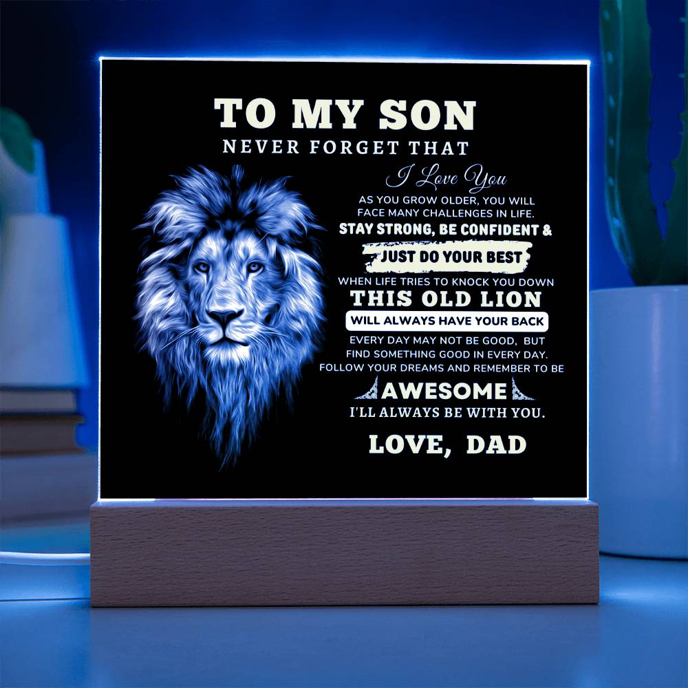 To My Son, I Love You Acrylic Plaque with LED NIGHT