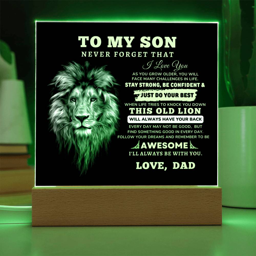 To My Son, I Love You Acrylic Plaque with LED NIGHT