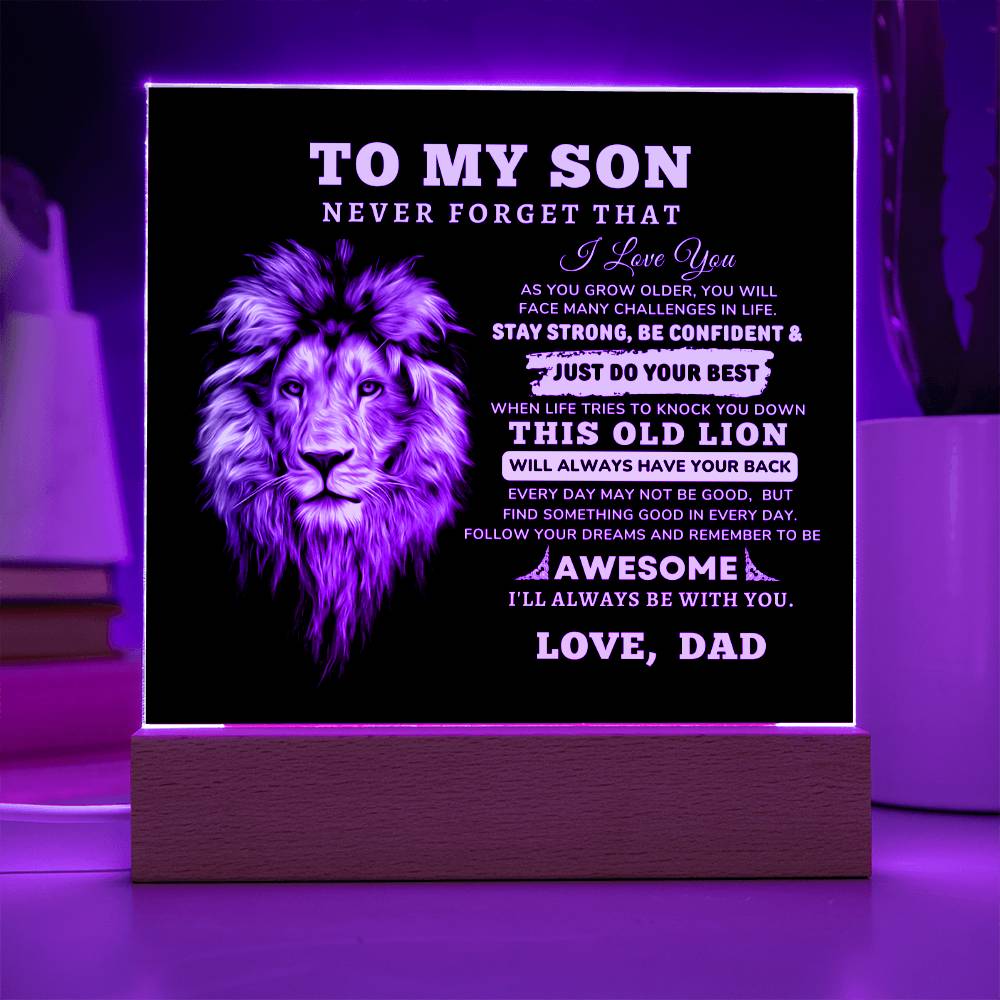 To My Son, I Love You Acrylic Plaque with LED NIGHT