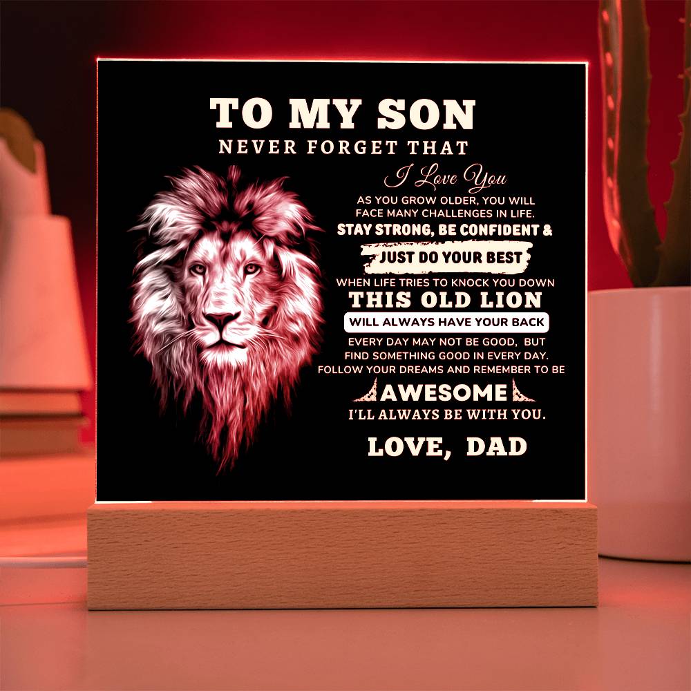 To My Son, I Love You Acrylic Plaque with LED NIGHT
