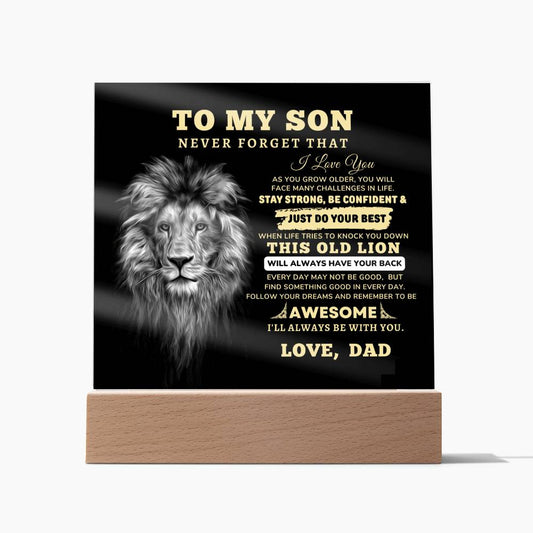 To My Son, I Love You  Acrylic Plaque with LED NIGHT